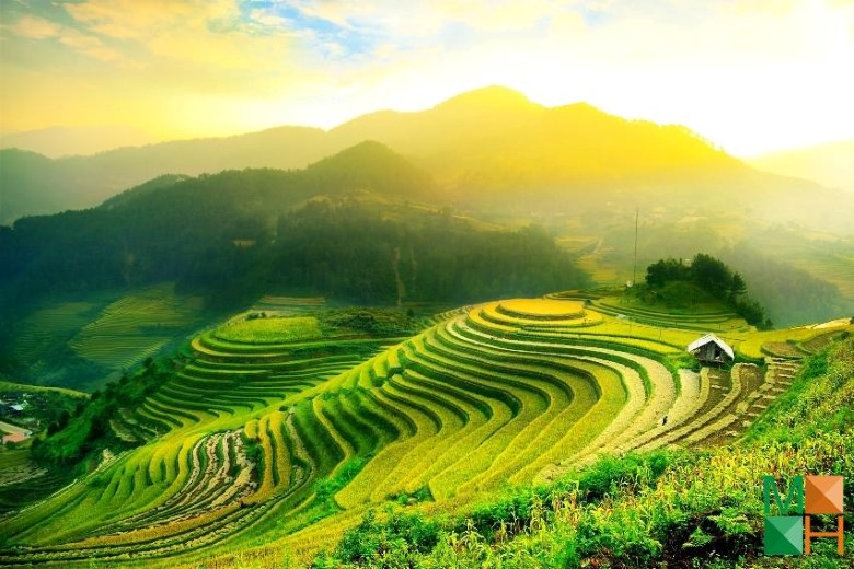 Tranh dán tường phòng khách đẹp tại Hà Nội NA - 390 